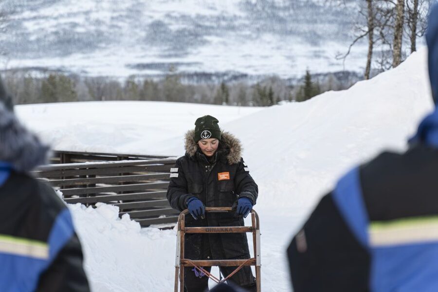 From Tromsø: Fun and Easy Dog Sledding Adventure - Tromsø Husky Sledding, Why Breivikeidet Feels So Remote