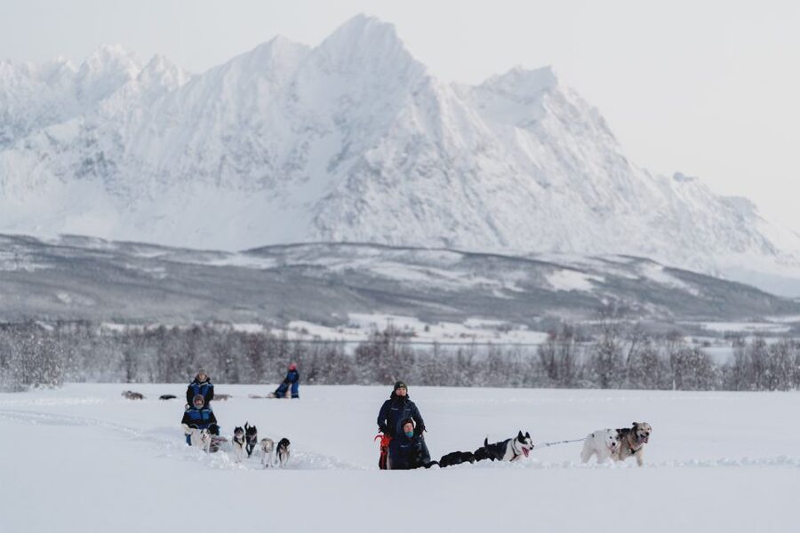 From Tromsø: Fun and Easy Dog Sledding Adventure - After the Ride, the Lavvu Warm-Up and Time With the Dogs