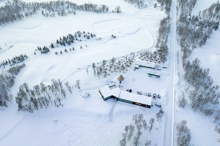 From Tromsø: Fun and Easy Dog Sledding Adventure - Price and Value at About $282 per Person