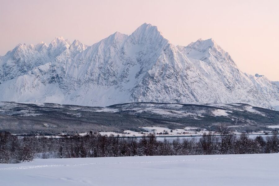 From Tromsø: Fun and Easy Dog Sledding Adventure - Who Should Book This, and Who Should Skip It