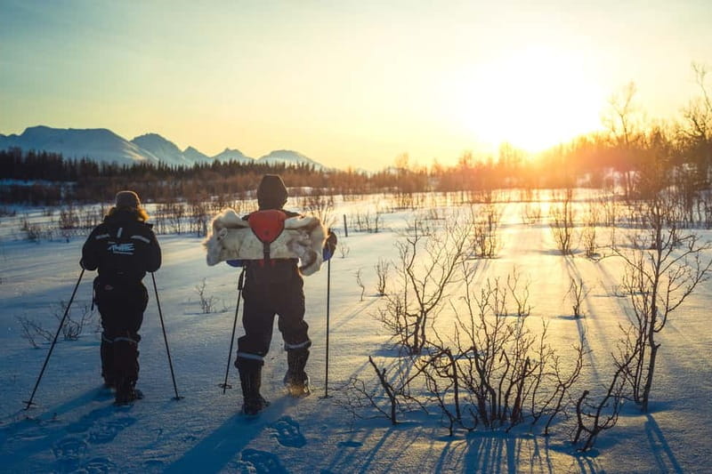 From Tromsø: Guided Husky Snowshoe Hike and Husky Camp Visit - Key points worth knowing