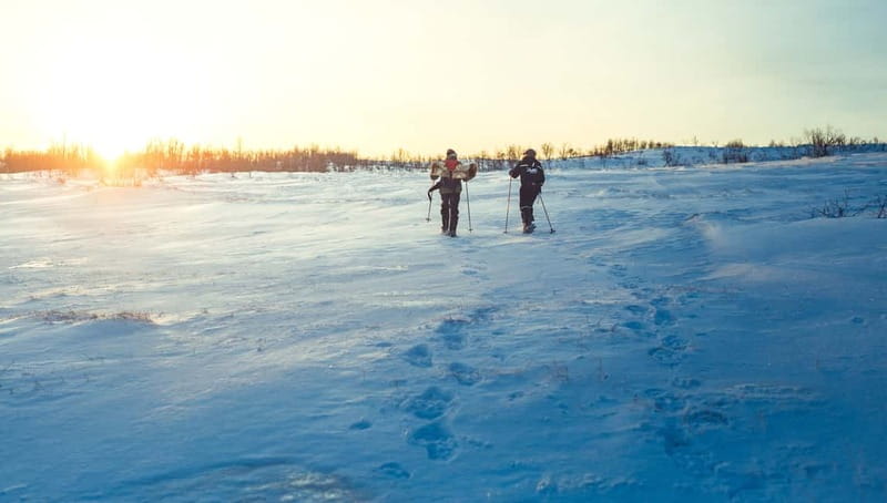 From Tromsø: Guided Husky Snowshoe Hike and Husky Camp Visit - Weather, rain or shine: what to plan for