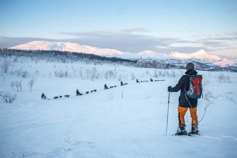 From Tromsø: Guided Husky Snowshoe Hike and Husky Camp Visit - From Tromsø to the snow: meeting point and first warm-up