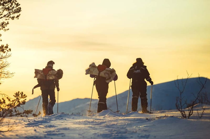 From Tromsø: Guided Husky Snowshoe Hike and Husky Camp Visit - Snowshoe hike with a husky: how the walk actually feels