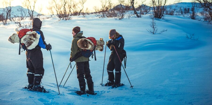 From Tromsø: Guided Husky Snowshoe Hike and Husky Camp Visit - Trail breaks: hot juice, cookies, and chocolate cake in the cold