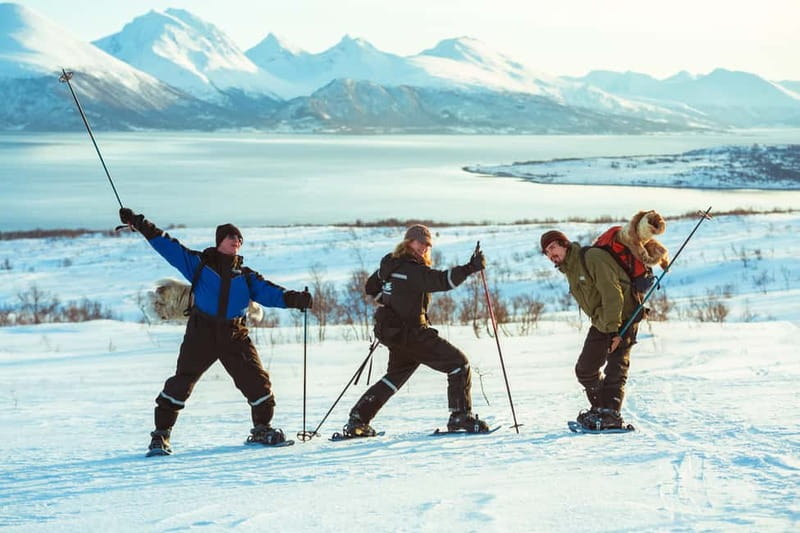 From Tromsø: Guided Husky Snowshoe Hike and Husky Camp Visit - Dog yard visit and puppy time: meeting the full pack