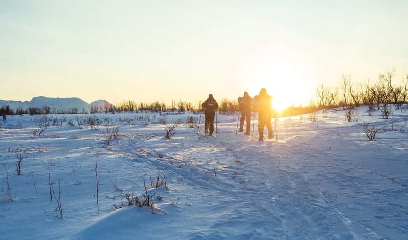 From Tromsø: Guided Husky Snowshoe Hike and Husky Camp Visit - Why the guide names keep coming up: stories, safety, and pacing