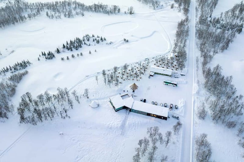 From Tromsø: Husky Experience with Self-Drive Dog Sled Ride - Key highlights you will feel right away