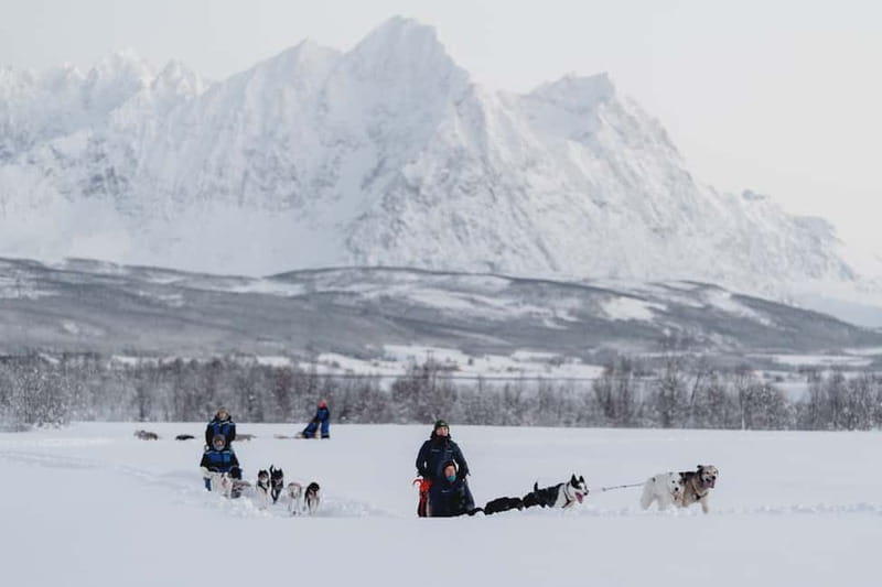 From Tromsø: Husky Experience with Self-Drive Dog Sled Ride - Safety briefing and mushing basics: what you learn before the sled motion starts