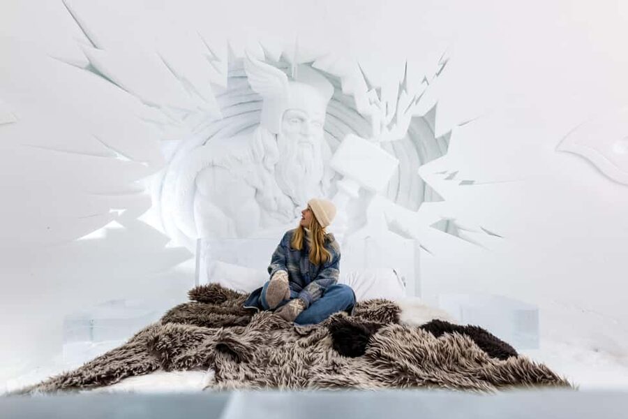 From Tromsø: Ice Domes Snow Park and Wilderness Experience - Huskies and reindeer close-up: what is included and what is not