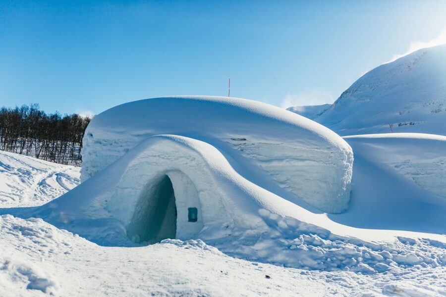 From Tromsø: Ice Domes Snow Park and Wilderness Experience - Tandem skiing race and the snow-time activities you will actually try