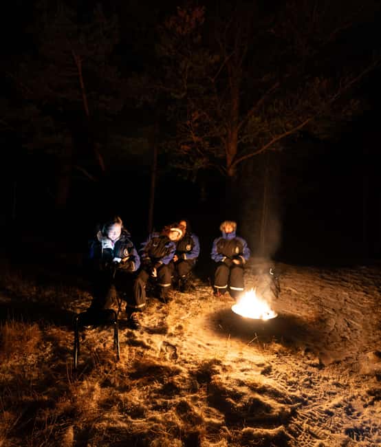 From Tromsø: Northern Lights Chase - Price and value: $241 for what is included