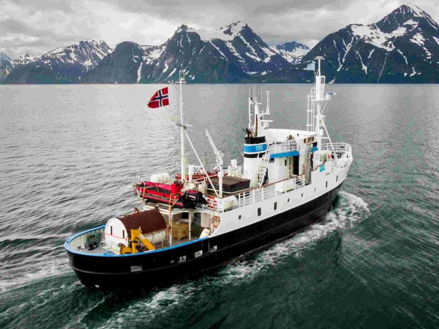From Tromsø: Northern Lights Cruise on a Cozy Vintage Vessel - Why this MS Strønstad cruise feels different in Tromsø
