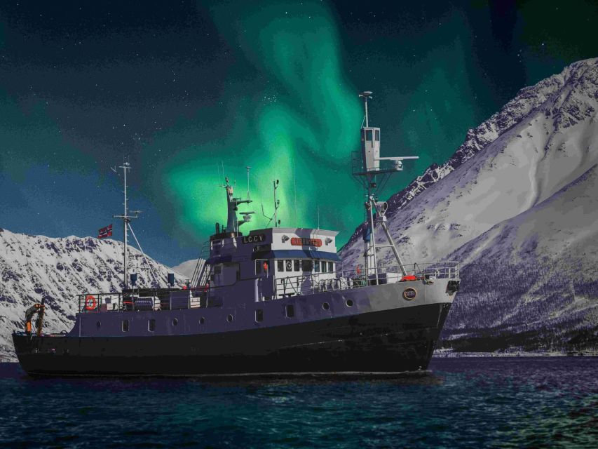 From Tromsø: Northern Lights Cruise on a Cozy Vintage Vessel - Starting at Full Steam Tromsø: your 19:00 aurora kickoff