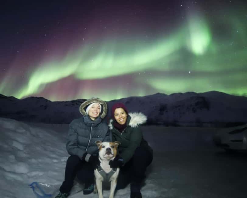From Tromso: Northern Lights Photography Tour - The van rides: how the plan turns weather into a strategy