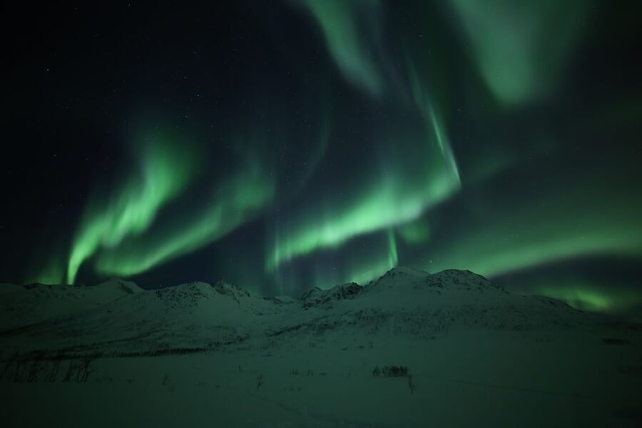 From Tromso: Northern Lights Photography Tour - Stop 1 and camp time: campfire warmth and the first photo portraits