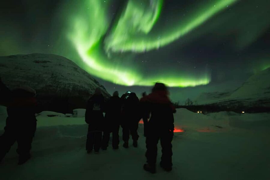 From Tromsø: Northern Lights Visit at Camp Tamok - Key Things I’d Watch for Before You Go