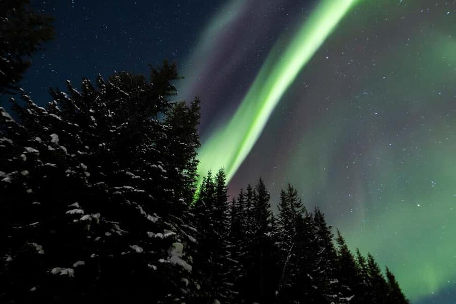 From Tromsø: Northern Lights Visit at Camp Tamok - Price and Value: Is $250 Worth It?