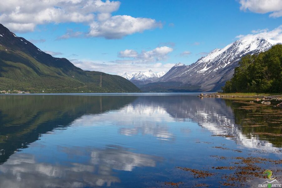 From Tromso: Norwegian Fjords Half-Day Tour - How the day actually works: weather controls your exact route