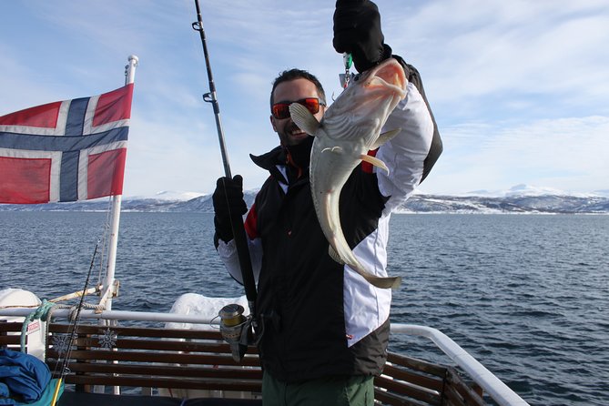 From Tromso: Polar Fishing Adventure - Key points to know before you go