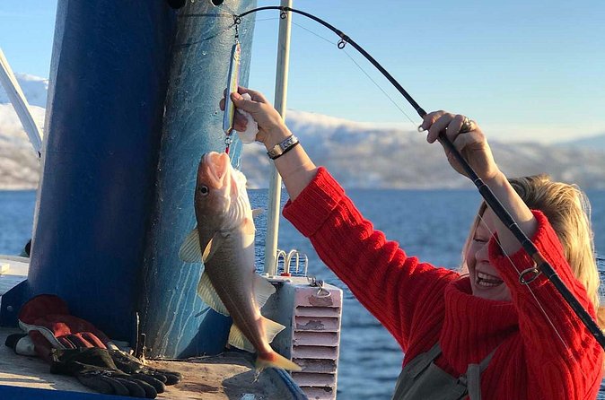 From Tromso: Polar Fishing Adventure - Weather, timing, and how to plan your 2-hour window