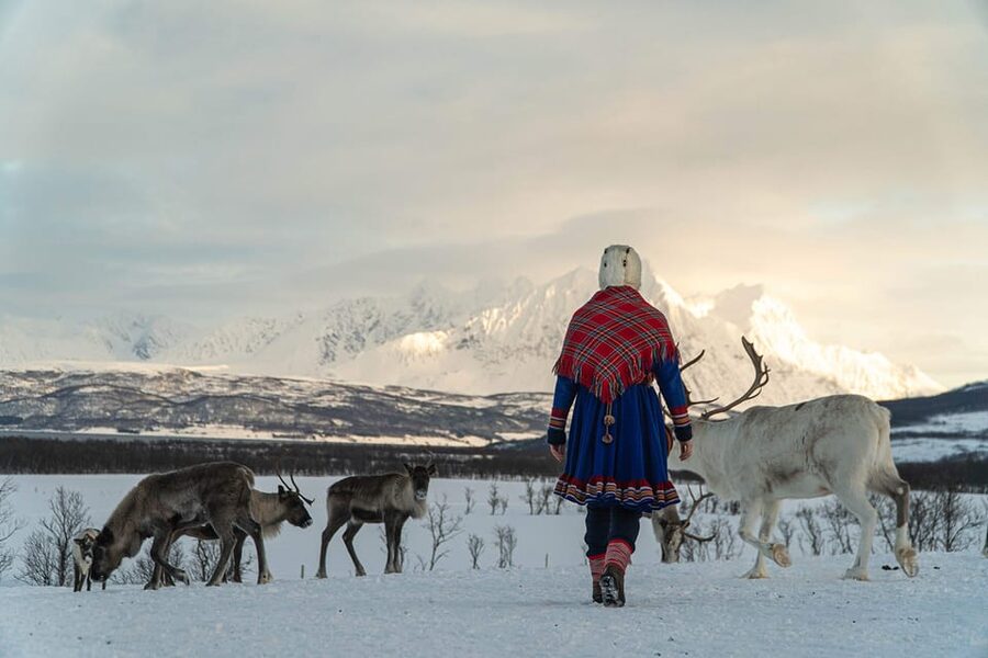 From Tromsø: Reindeer Feeding and Sami Experience with Lunch - Why This Reindeer Feeding and Sami Experience Feels So Real