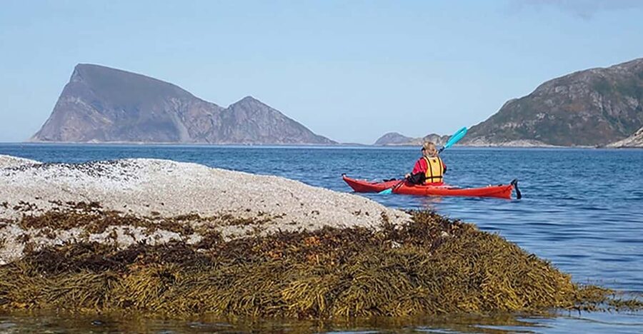 From Tromsø: Sea Kayaking Tour at Sommarøy - Kayak routes around Sommarøy: sheltered sounds, white beaches, and real breaks