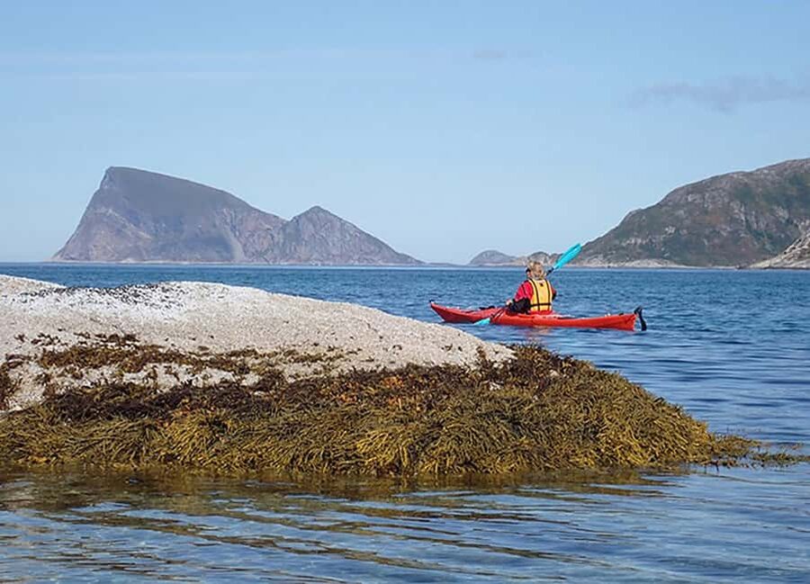From Tromsø: Sea Kayaking Tour at Sommarøy - Safety, certified guidance, and how the guides earn trust