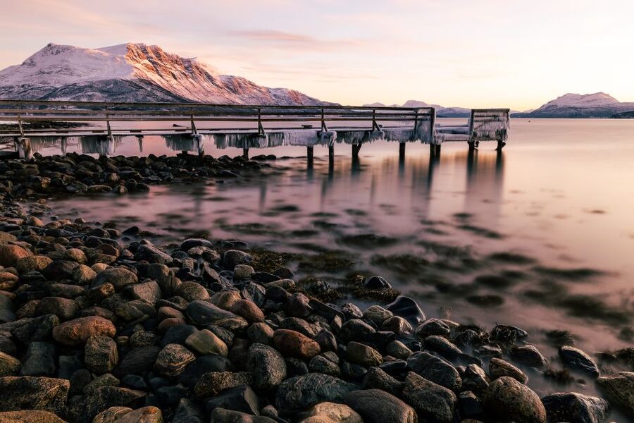 From Tromsø: Senja Discovery Arctic Day Trip with Lunch - Senja for hours of photo stops and guided sightseeing