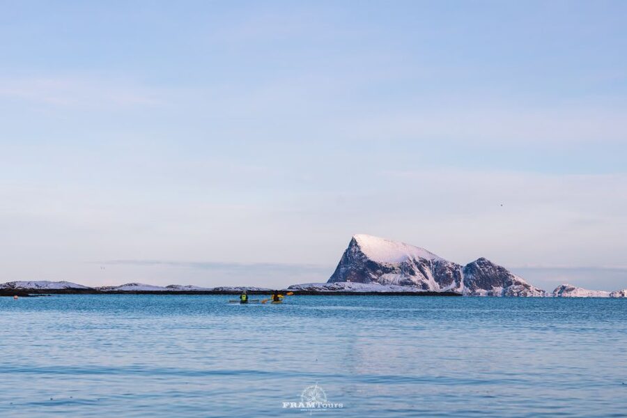From Tromsø: Senja Discovery Arctic Day Trip with Lunch - Wildlife spotting: what to look for without losing the moment