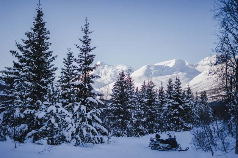 From Tromsø: Snowmobiling at Camp Tamok & Snow Park Visit - Meeting the huskies and reindeer: what you will likely get, and what may not happen