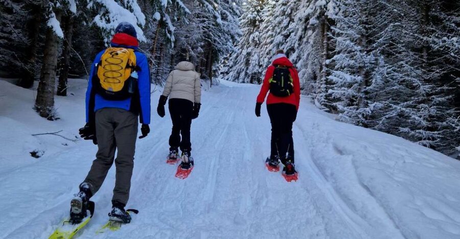 From Tromsø: Snowshoe Hike in the Arctic - The van ride to Ersfjordbotn: a warm-up, not wasted time