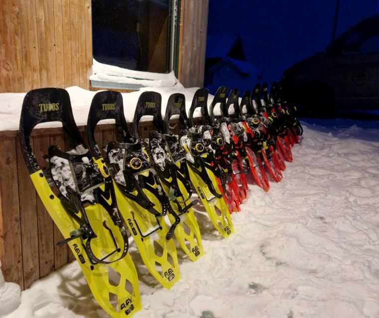From Tromsø: Snowshoe Hike in the Arctic - Winter fun on the way down: sliding and snow-play when it fits