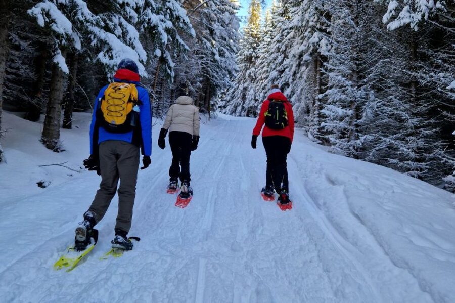 From Tromsø: Snowshoe Hike in the Arctic - Finding your start point at Clarion Hotel The Edge (and why it matters)