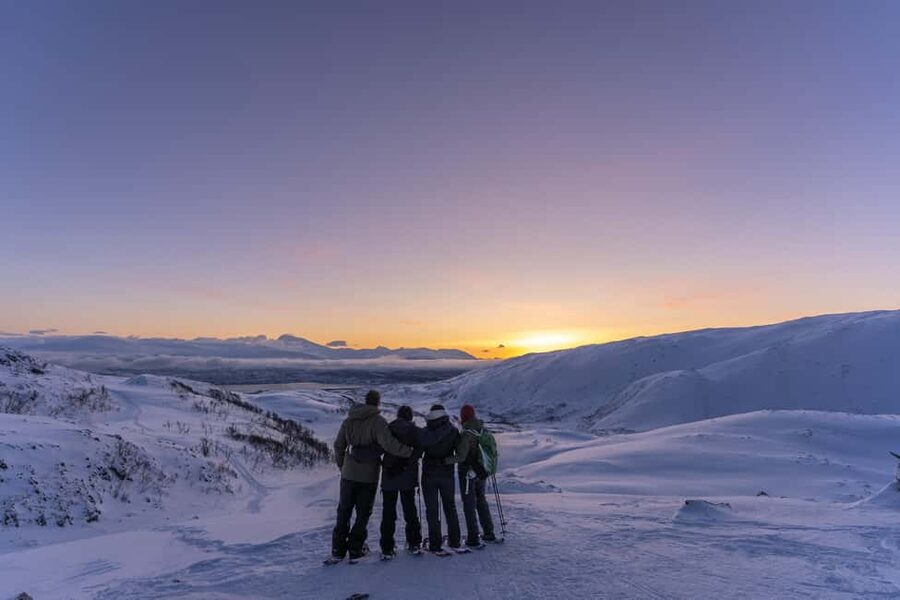 From Tromsø: Snowshoe Hike with Local Guides - Key Things You’ll Notice on This Tromsø Snowshoe Hike