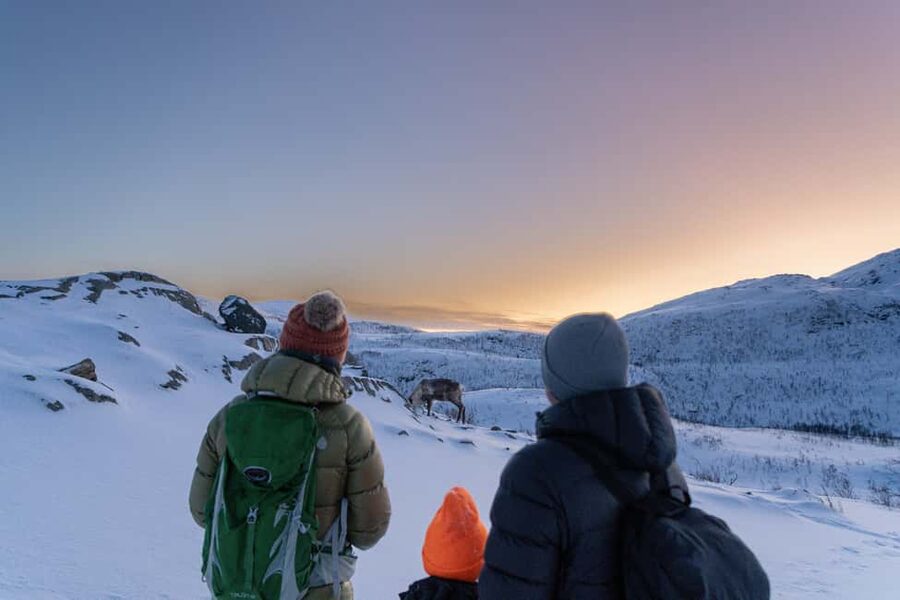 From Tromsø: Snowshoe Hike with Local Guides - Snowshoeing Basics: What You Learn Before You Step Off the Trail