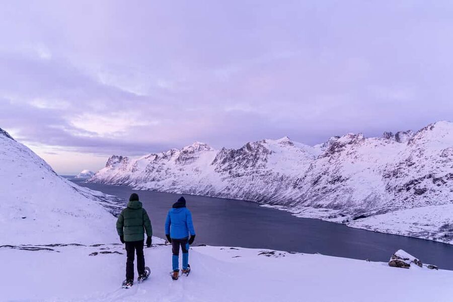 From Tromsø: Snowshoe Hike with Local Guides - Price and Value: Why $152 Can Add Up to More Than a Hike