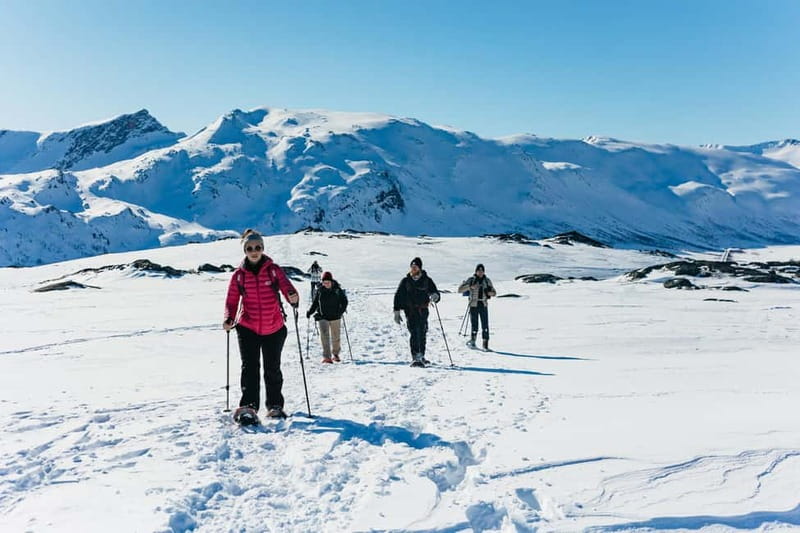 From Tromsø: Snowshoeing Hike with Picnic Lunch and Photos - Quick highlights you should care about