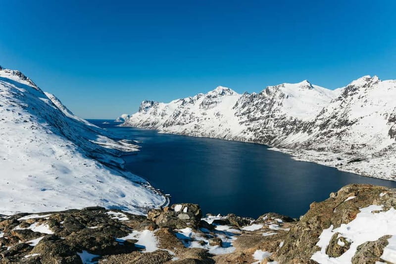 From Tromsø: Snowshoeing Hike with Picnic Lunch and Photos - Wildlife spotting: reindeer, eagles, ptarmigans, and hares
