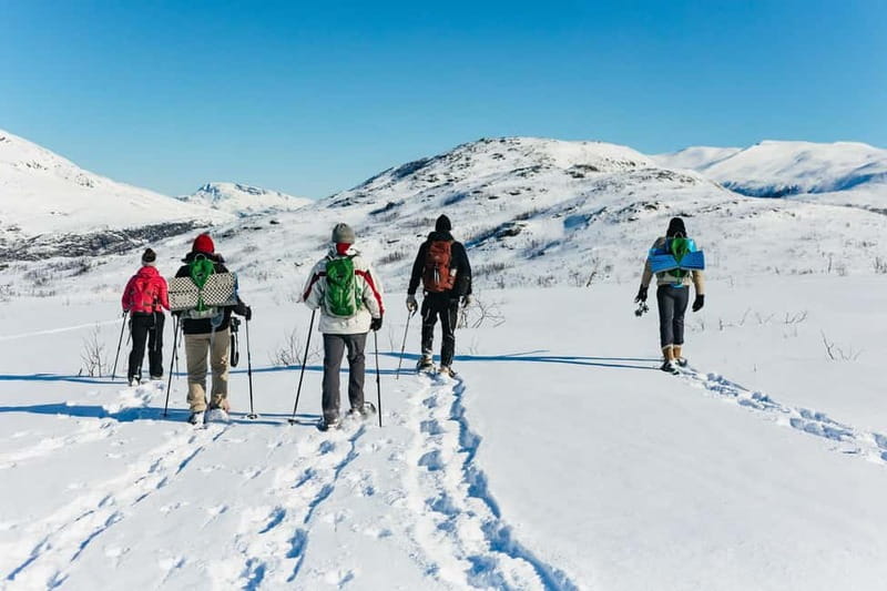 From Tromsø: Snowshoeing Hike with Picnic Lunch and Photos - Photos after the tour: how the memories get handled