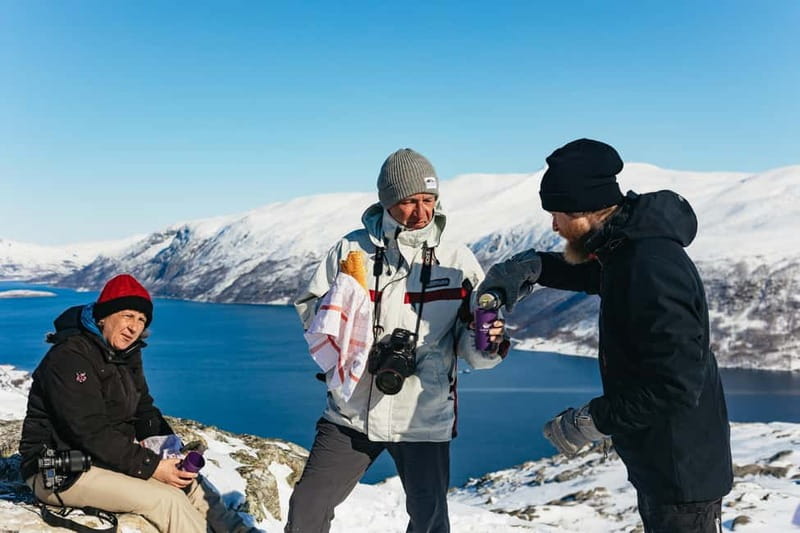 From Tromsø: Snowshoeing Hike with Picnic Lunch and Photos - Duration, transport, and pacing: a real half-day commitment