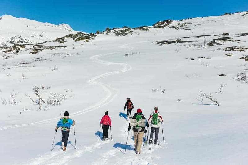 From Tromsø: Snowshoeing Hike with Picnic Lunch and Photos - Price and value: why $141 can make sense in Tromsø