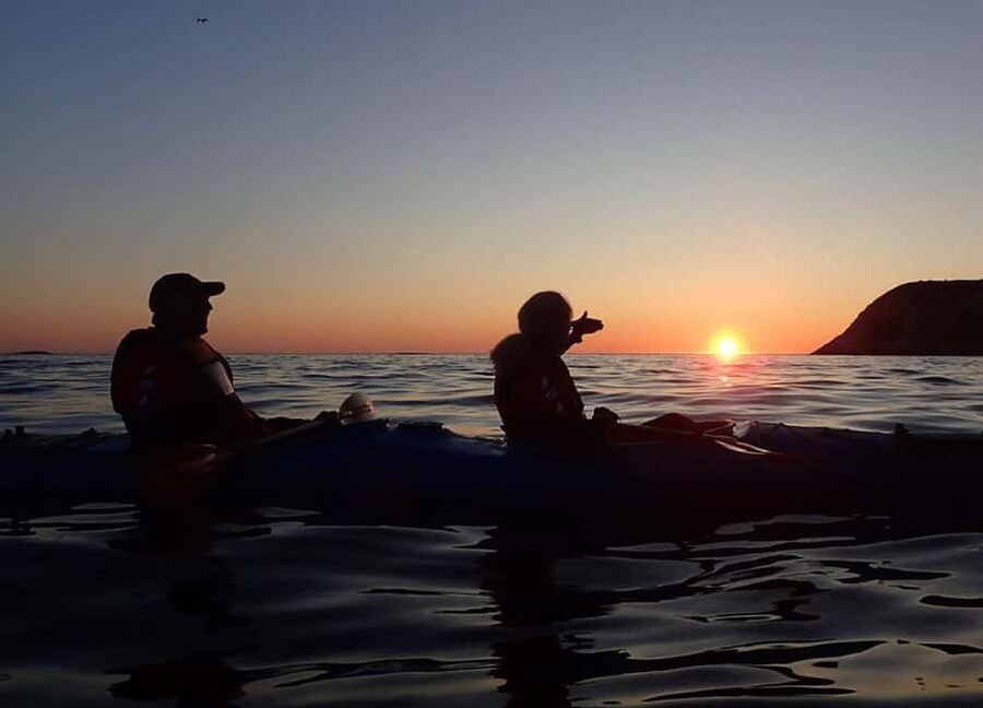 From Tromsø: Sommarøy Midnight Sun Sea Kayaking Tour - Wildlife Spotting in 24-Hour Daylight: How to Increase Your Chances