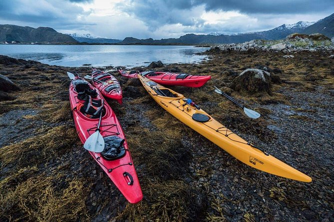 Full Day Combo Kayak and Rappel - Northern Explorer - Final Kayak Back: Closing the Day With Coastline Time