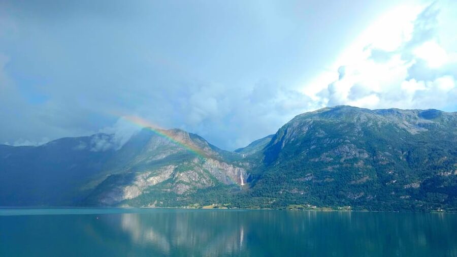 Full day private tour to Flåm - The Big Picture: What Makes This Flåm, Nærøyfjord, and Flåmsbana Day Work
