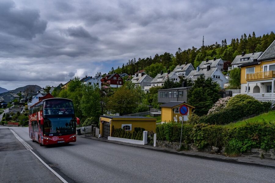 Geiranger: City Sightseeing Hop-On Hop-Off Bus Tour - Westerås Farm: Llamas and Goats, Plus Mountain Footsteps