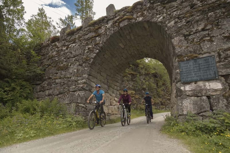 Geiranger Fjord: Downhill Self-Guided Bike Tour - The climb you do not want, and why it makes the whole ride work