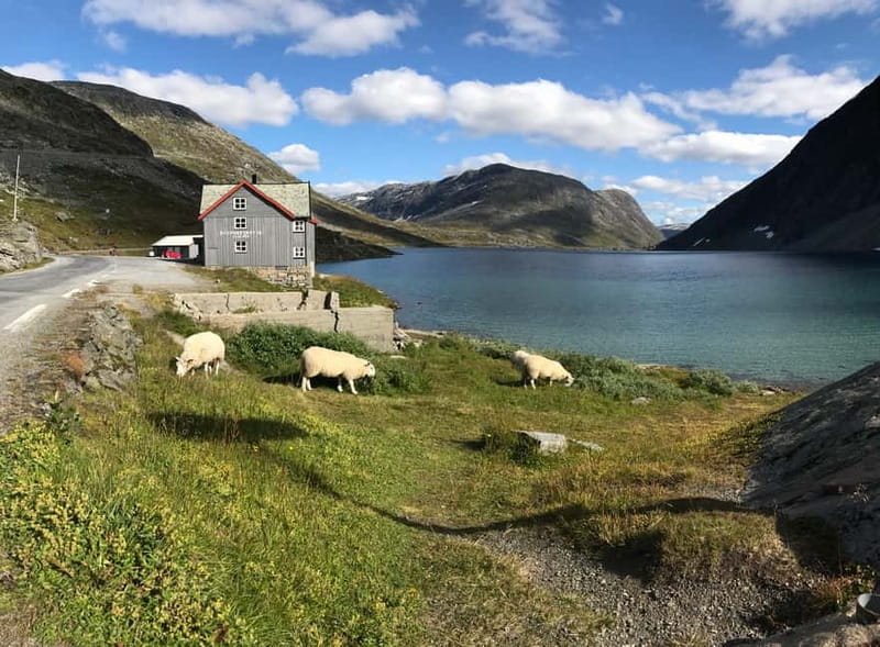 Geiranger Fjord: Downhill Self-Guided Bike Tour - Bike gear and riding needs: who this suits best