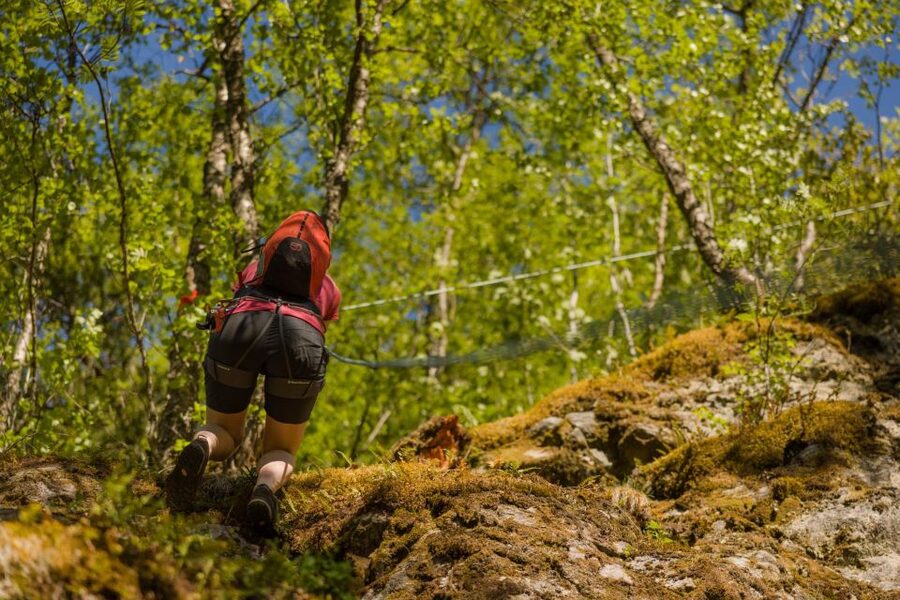 Geiranger: Rappelling tour with epic view - Flydalsjuvet Viewpoint and the Photo-Edge Moment