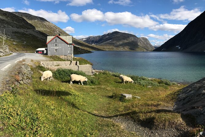 Geiranger: Sky to Fjord Downhill Biking Adventure - Your bike and safety gear: what to check right away
